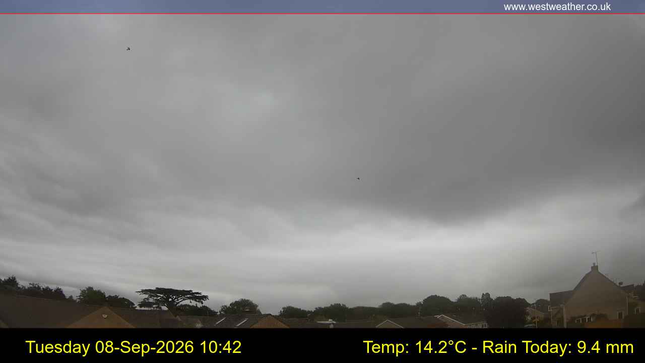Live Webcam
