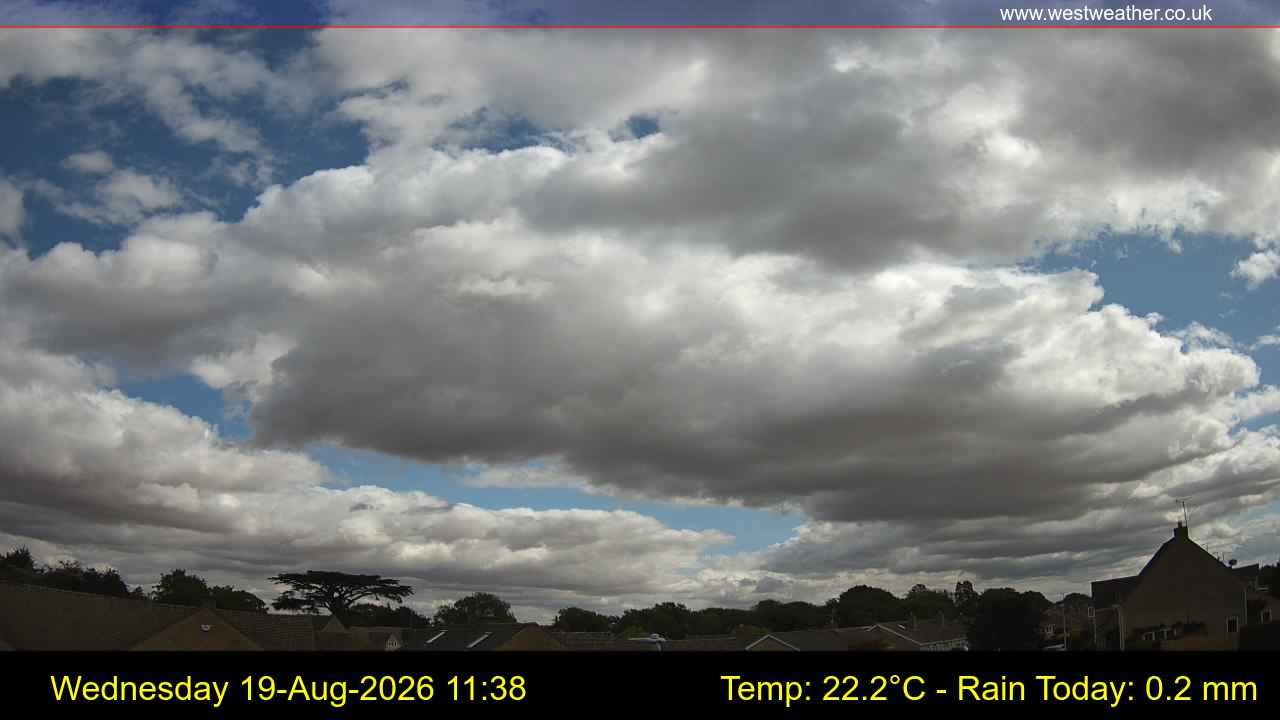 Live Webcam
