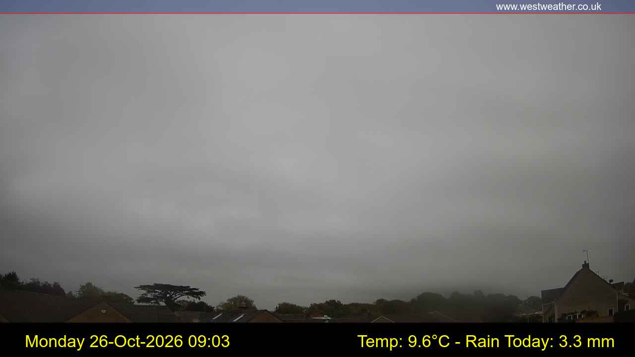 Live Webcam