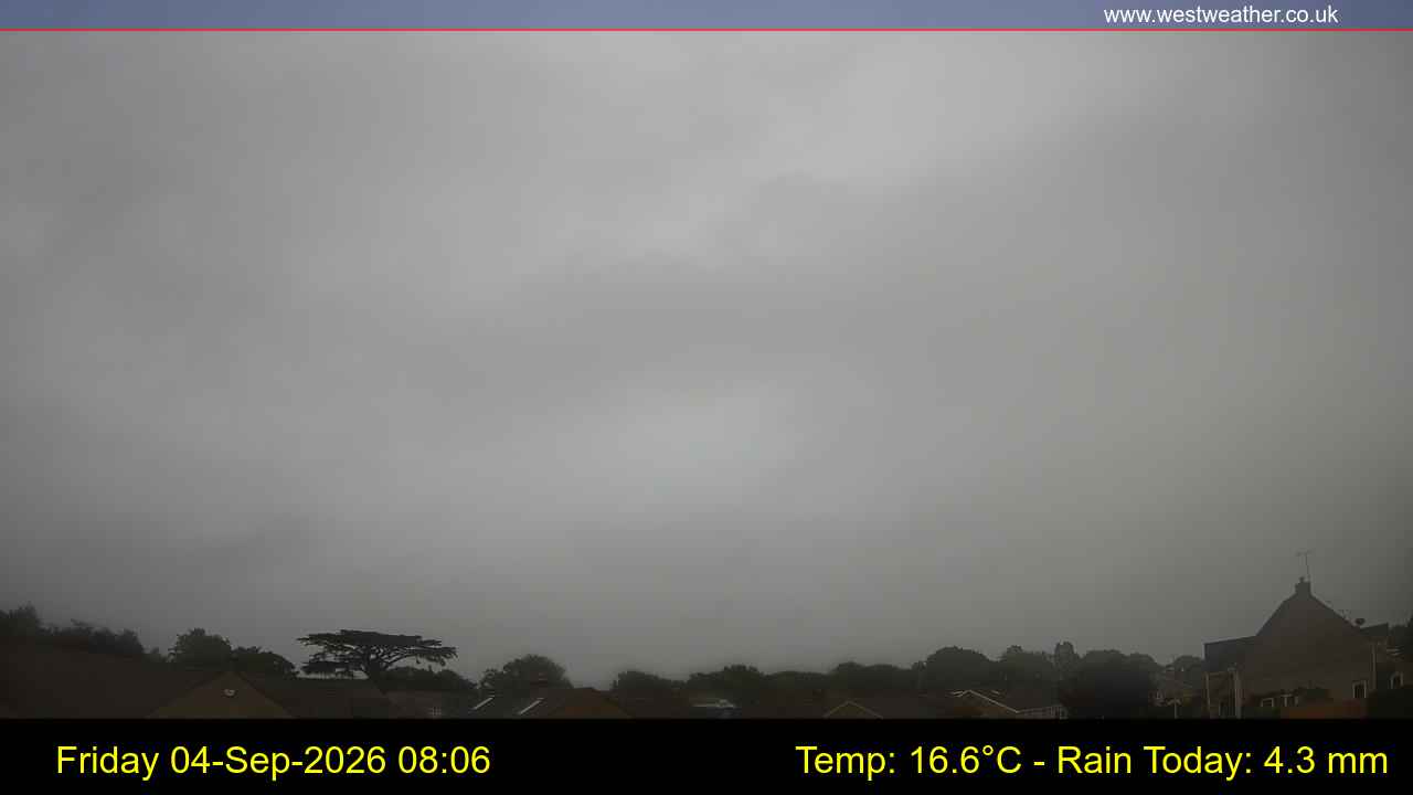 Live Webcam