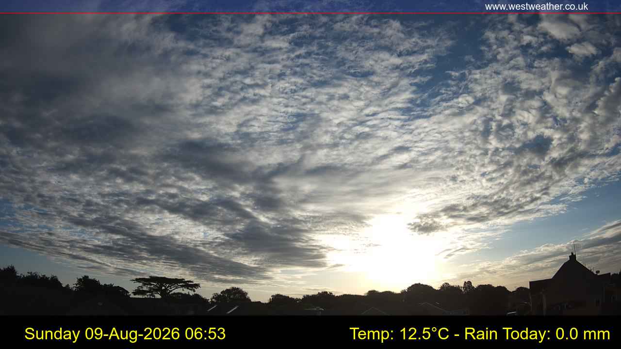 Live Webcam