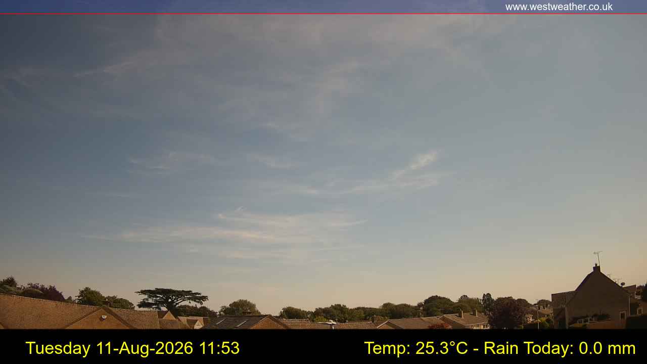 Live Webcam