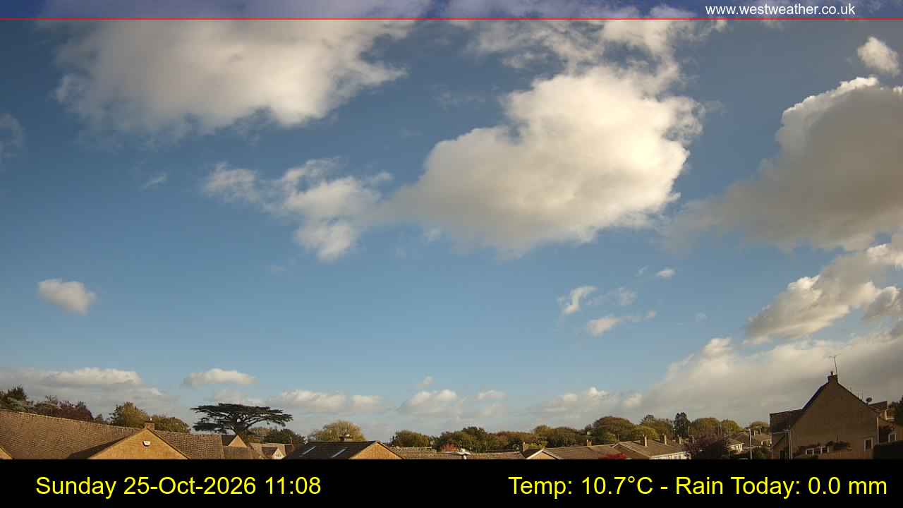 Live Webcam