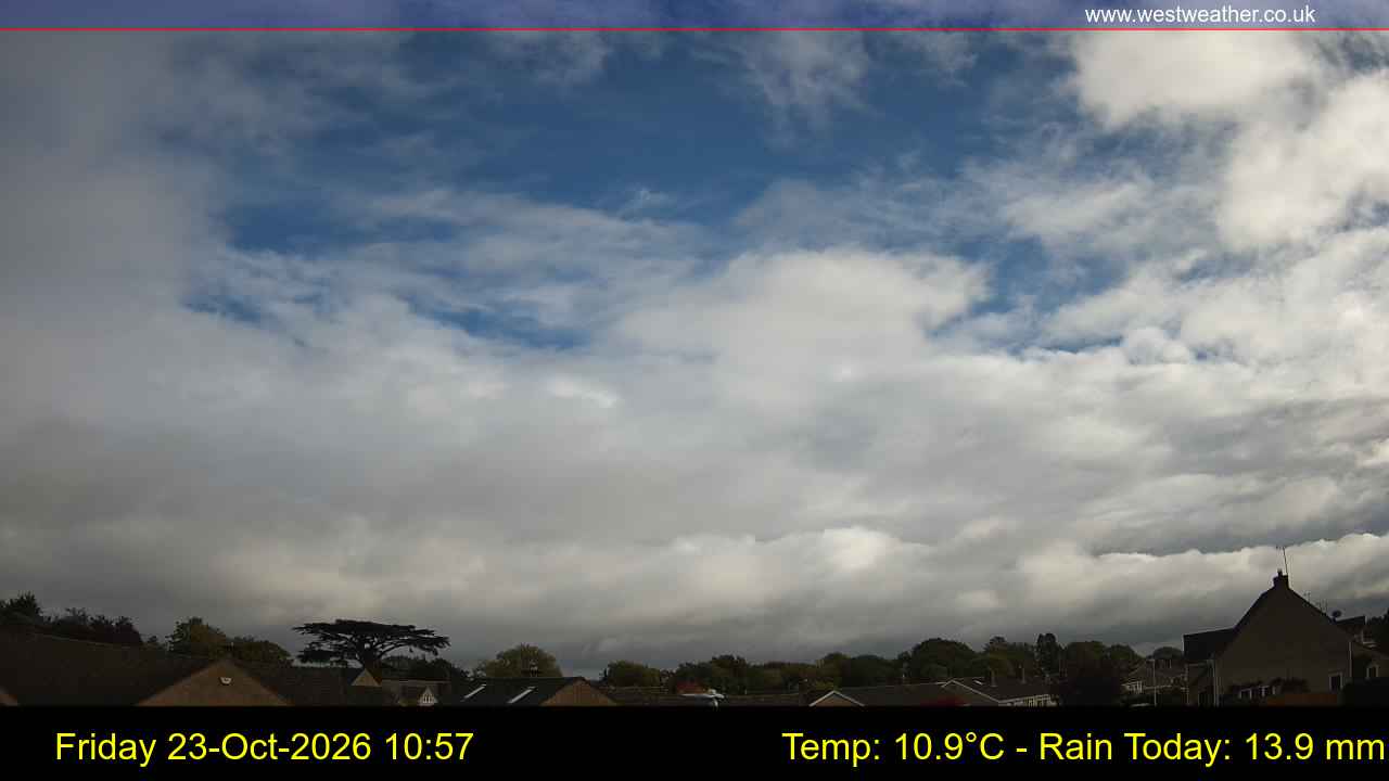 Live Webcam