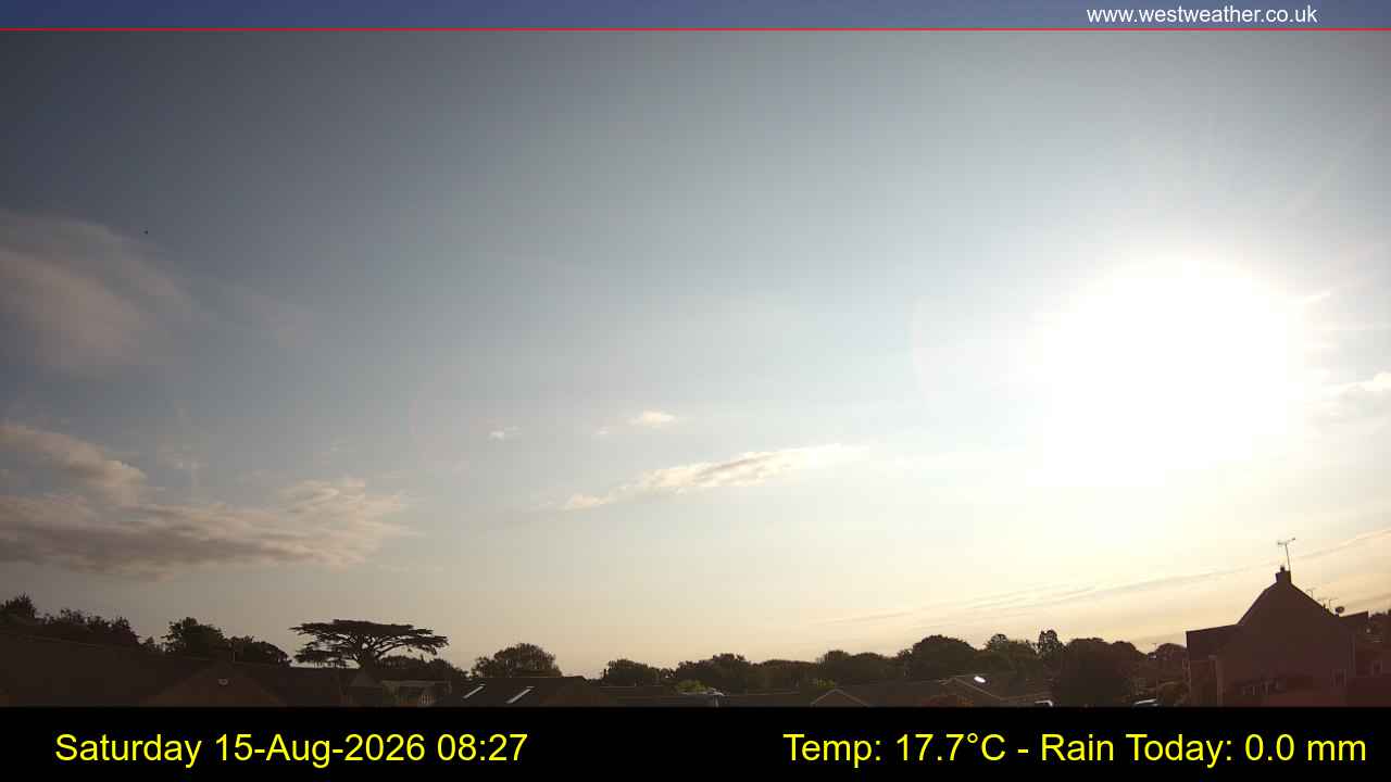 Live Webcam