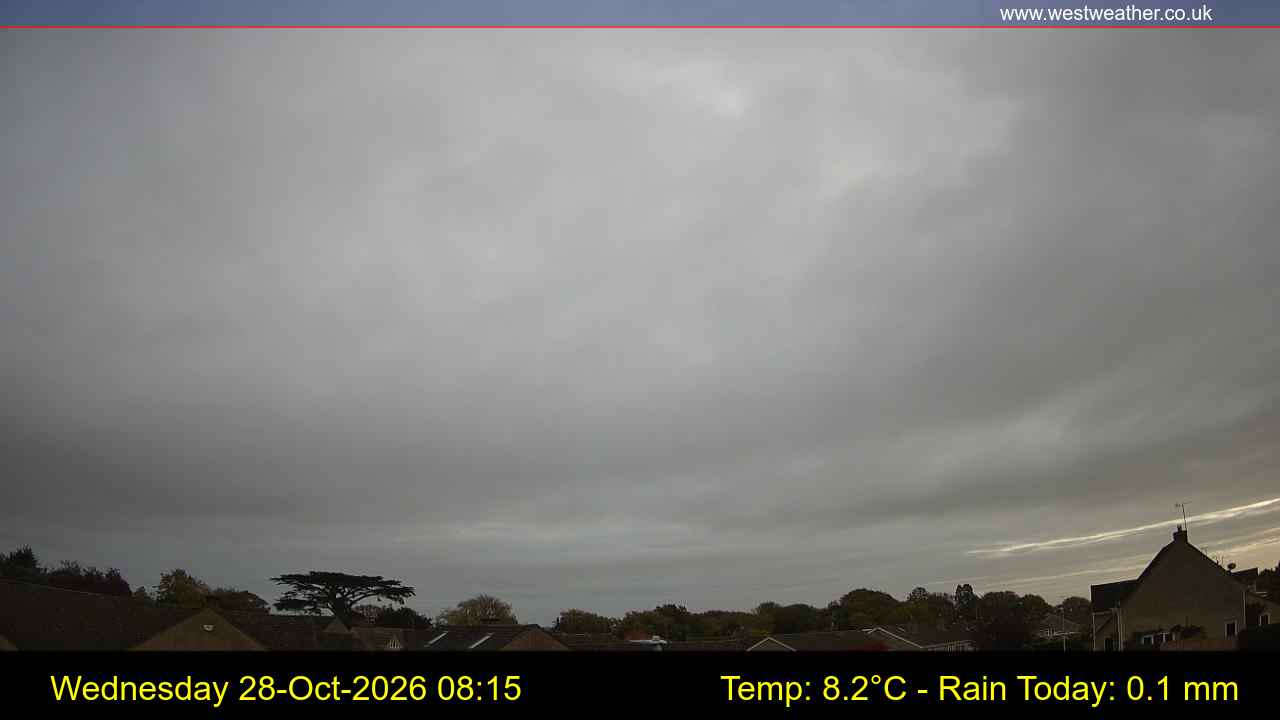 Live Webcam