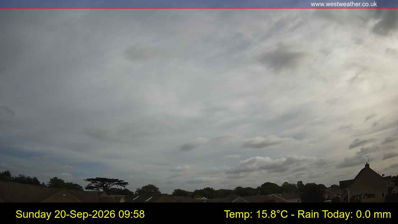 Live Webcam