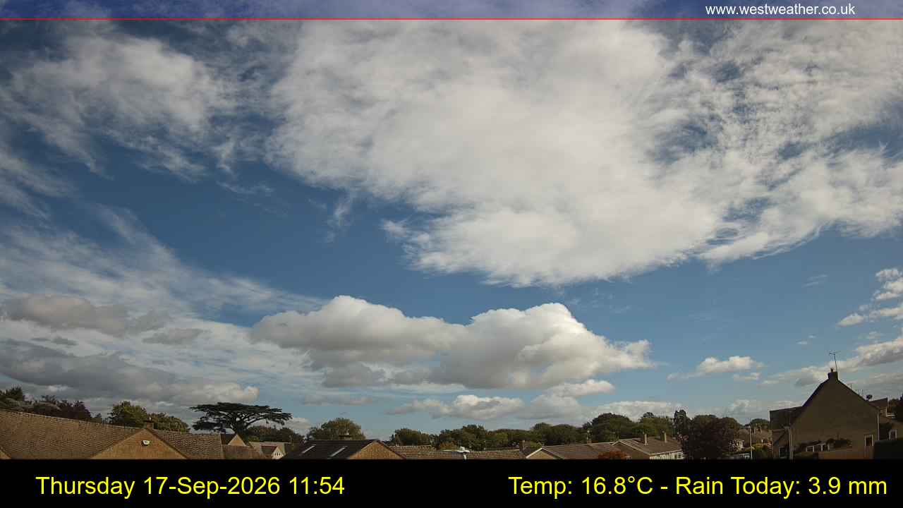 Live Webcam