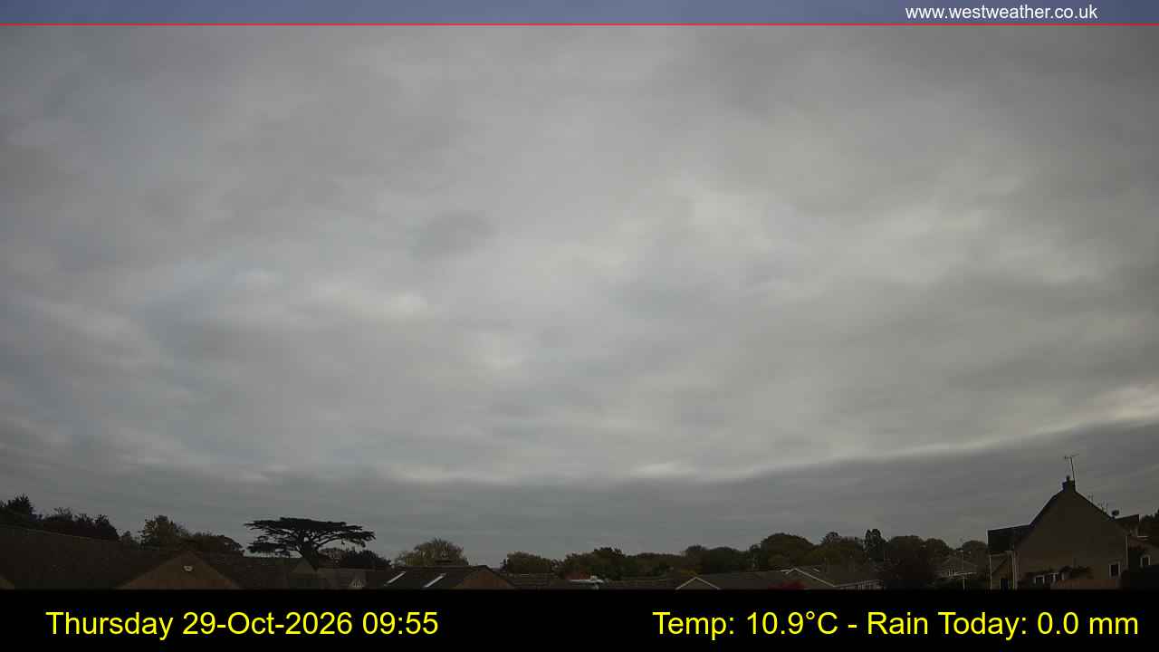 Live Webcam