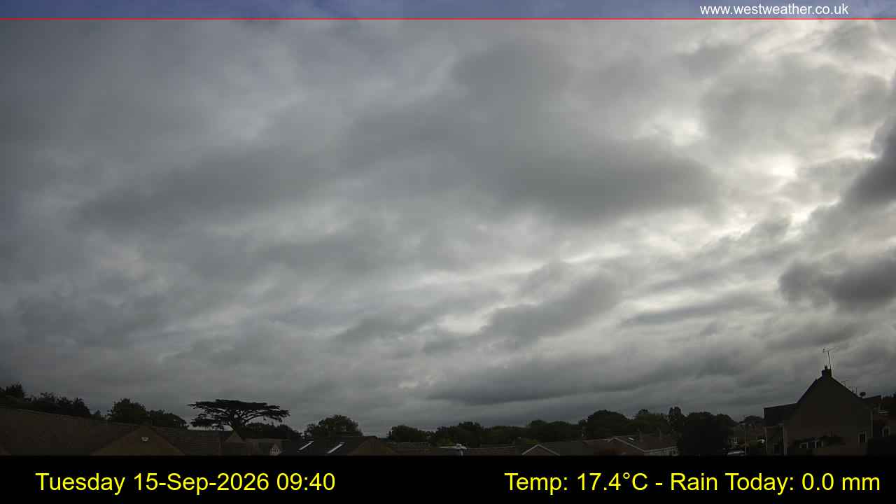 Live Webcam