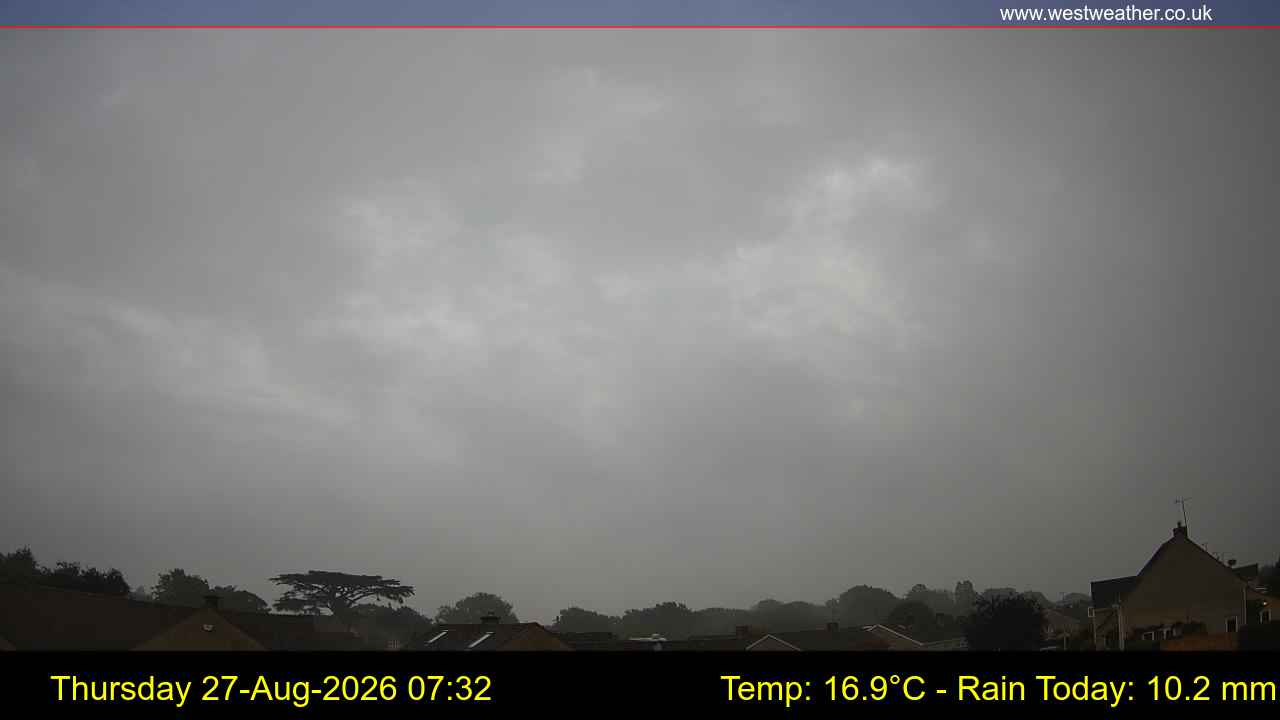 Live Webcam