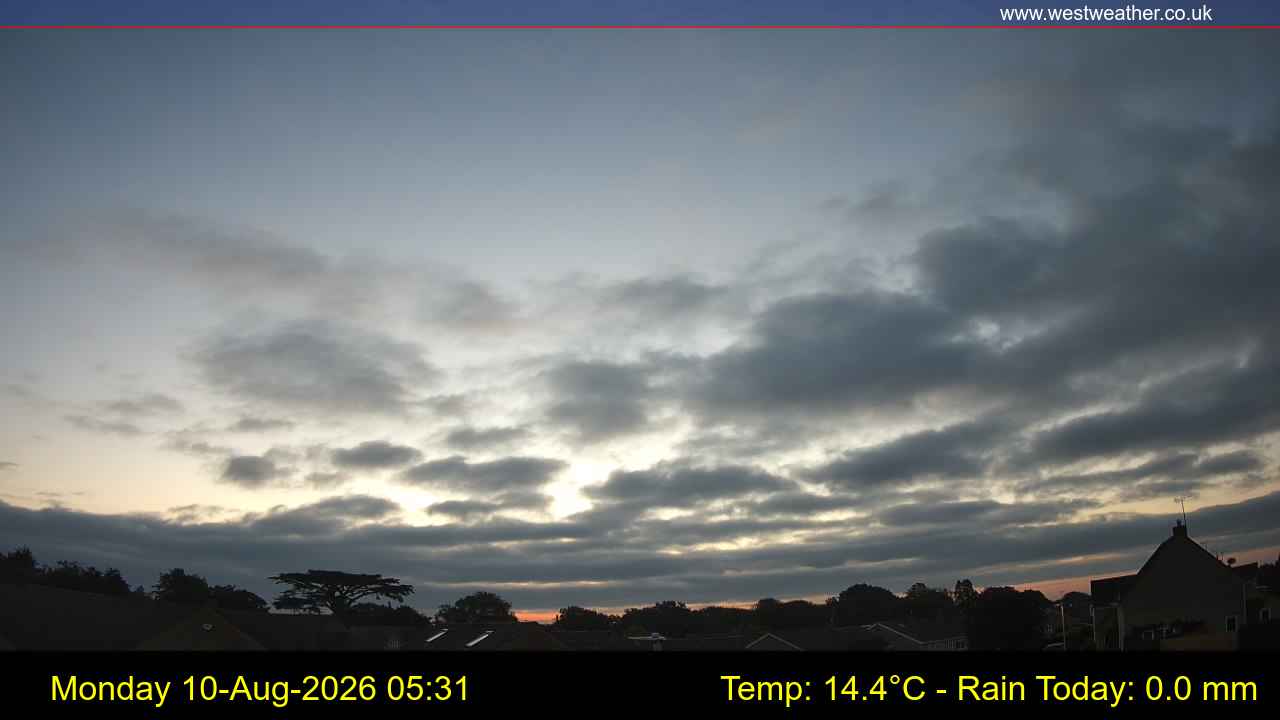 Live Webcam