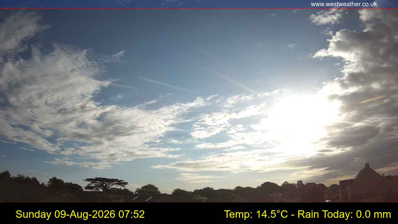 Live Webcam