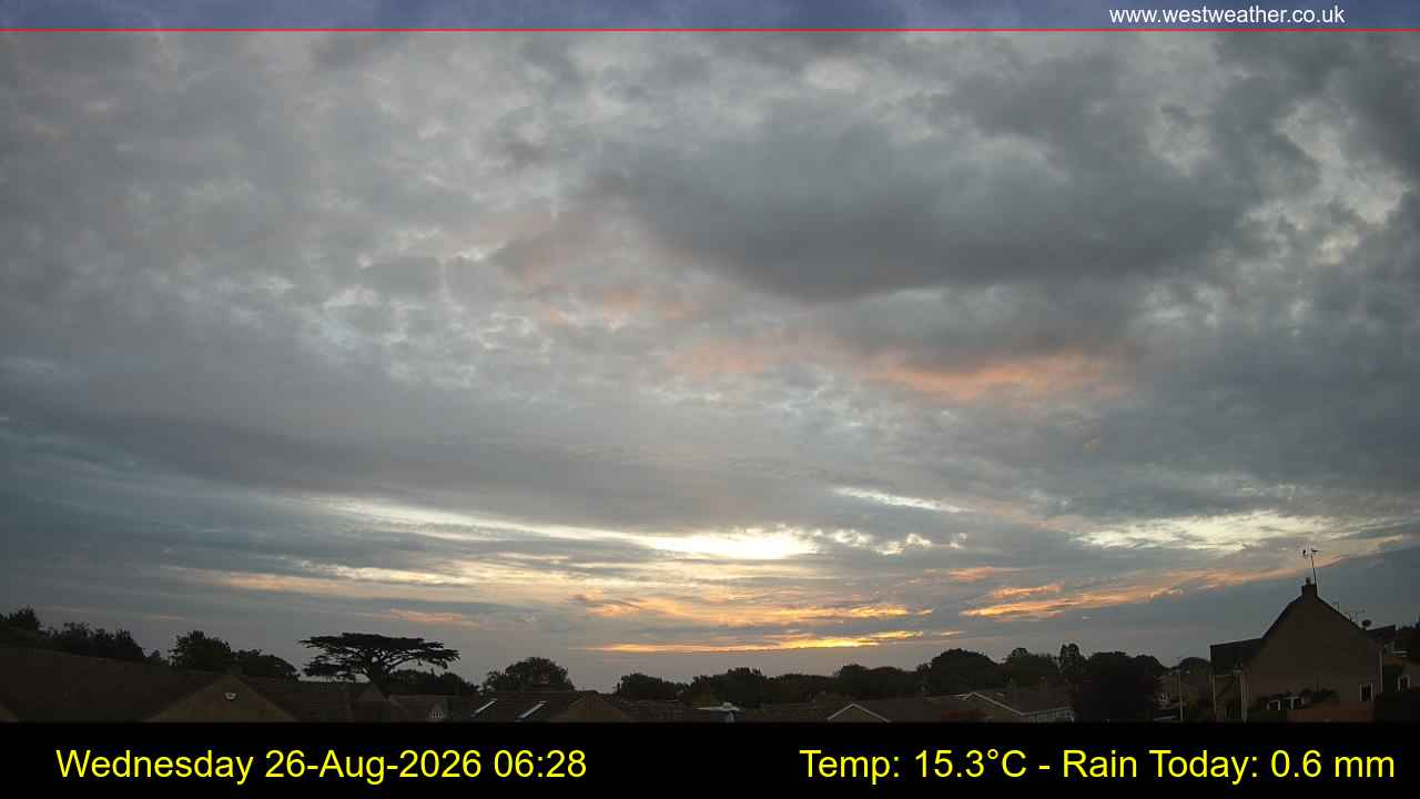 Live Webcam