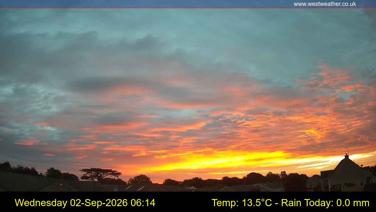 Live Webcam