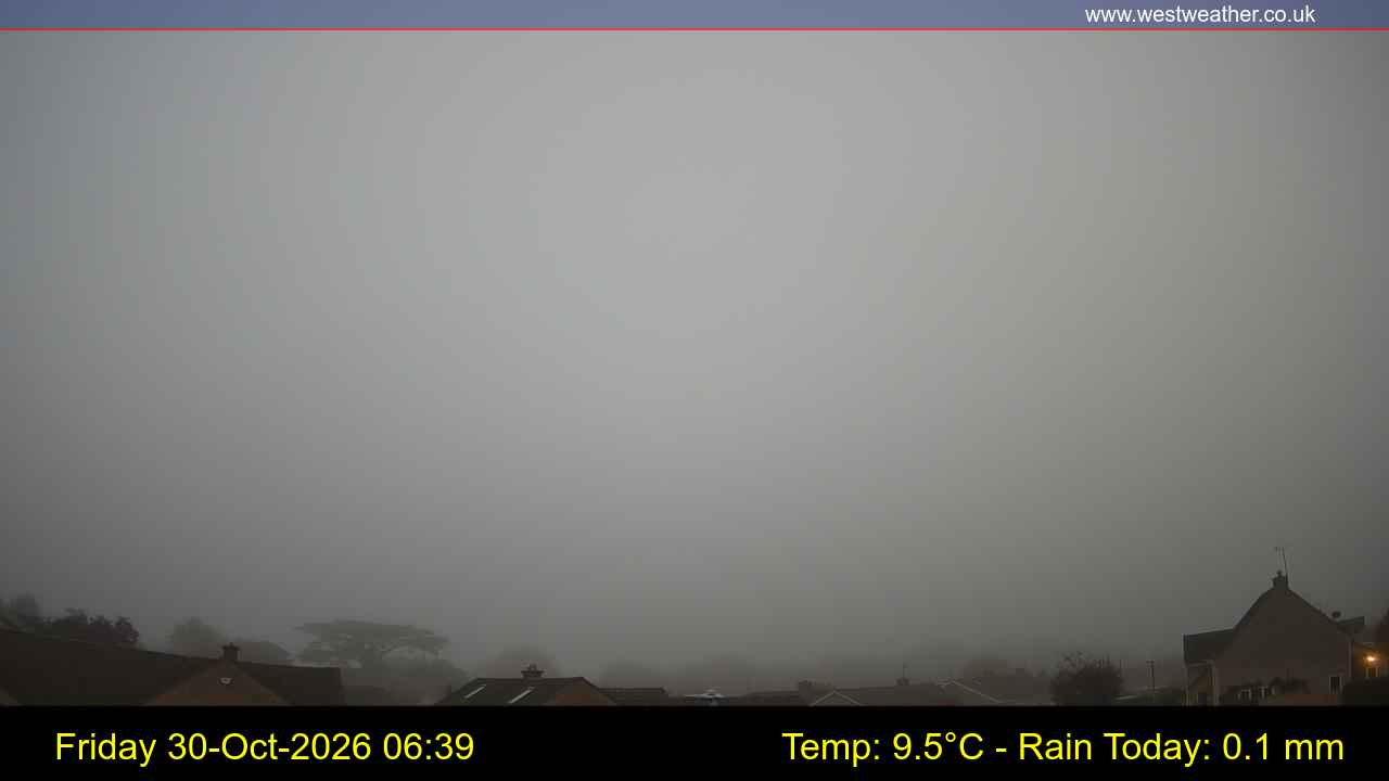 Live Webcam