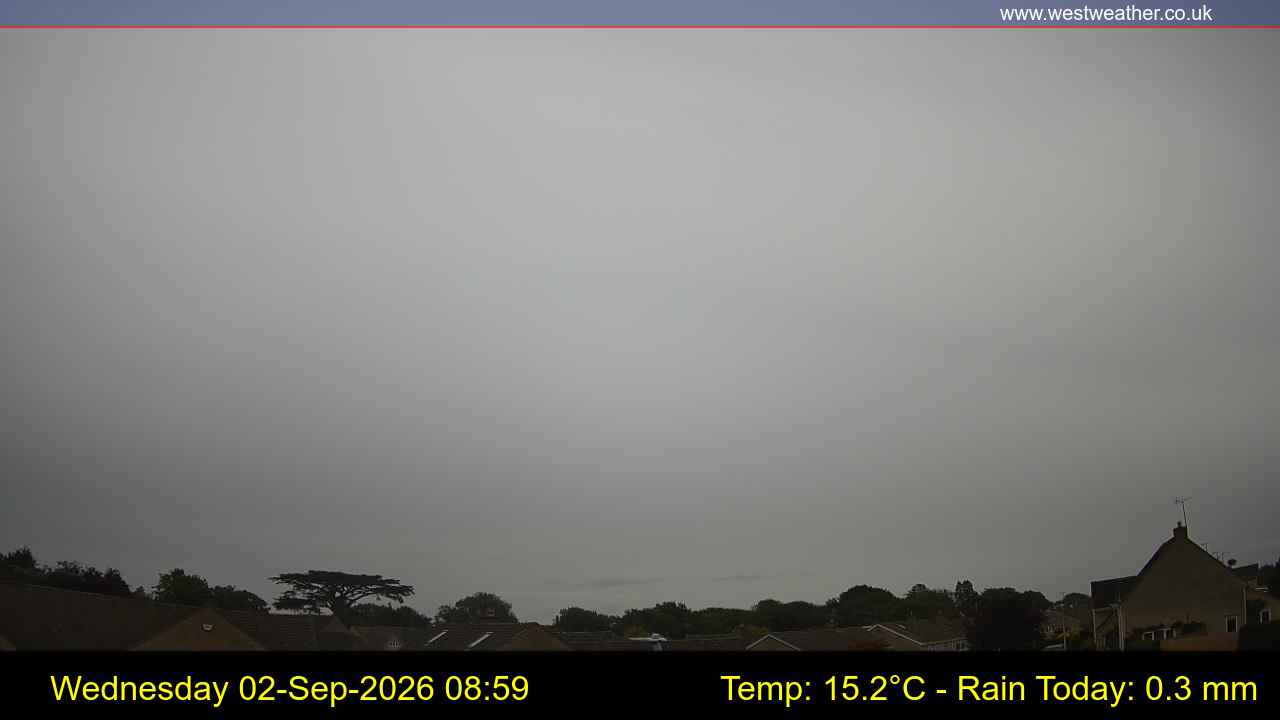 Live Webcam