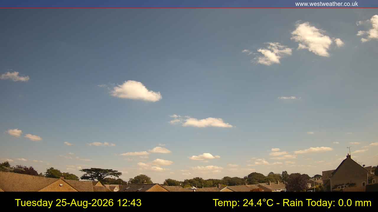 Live Webcam
