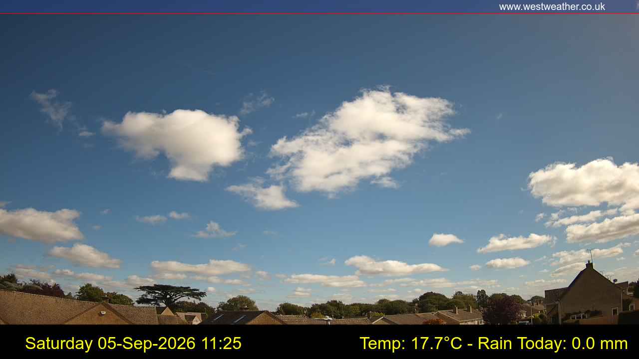 Live Webcam