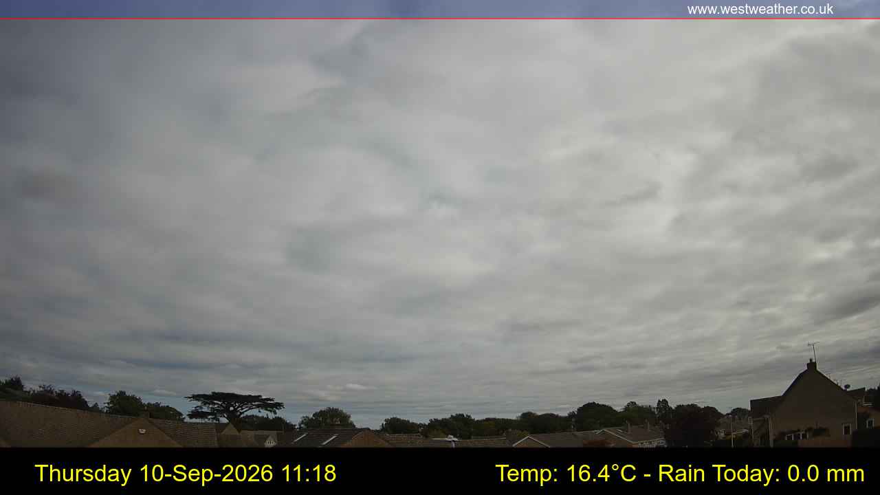 Live Webcam