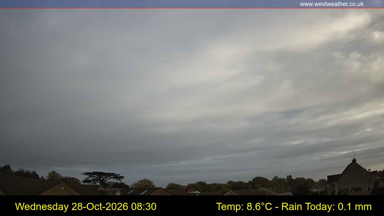 Live Webcam