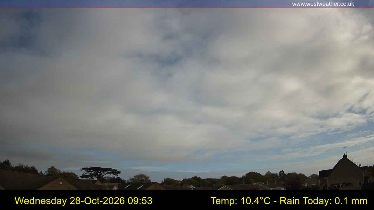 Live Webcam