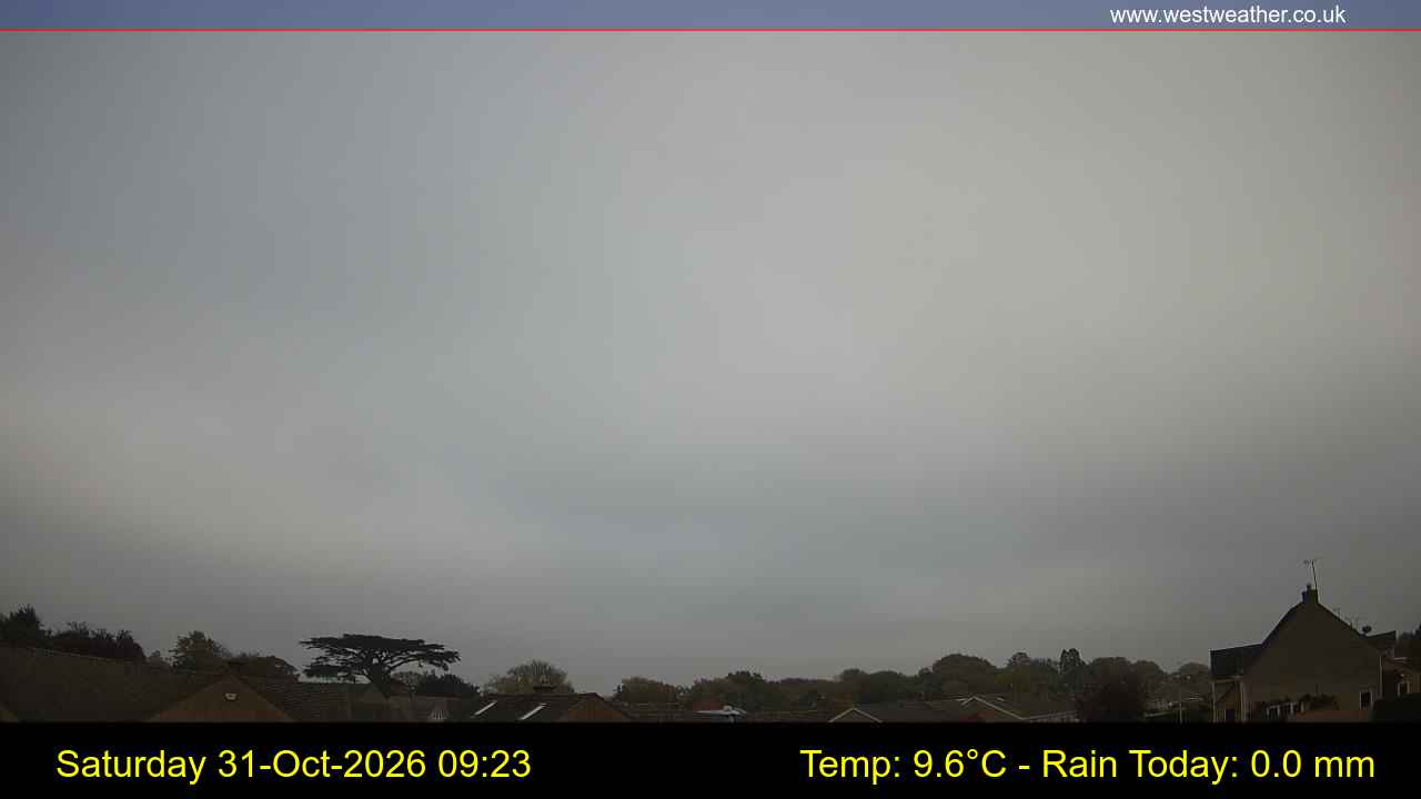 Live Webcam