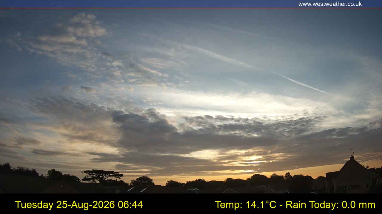 Live Webcam