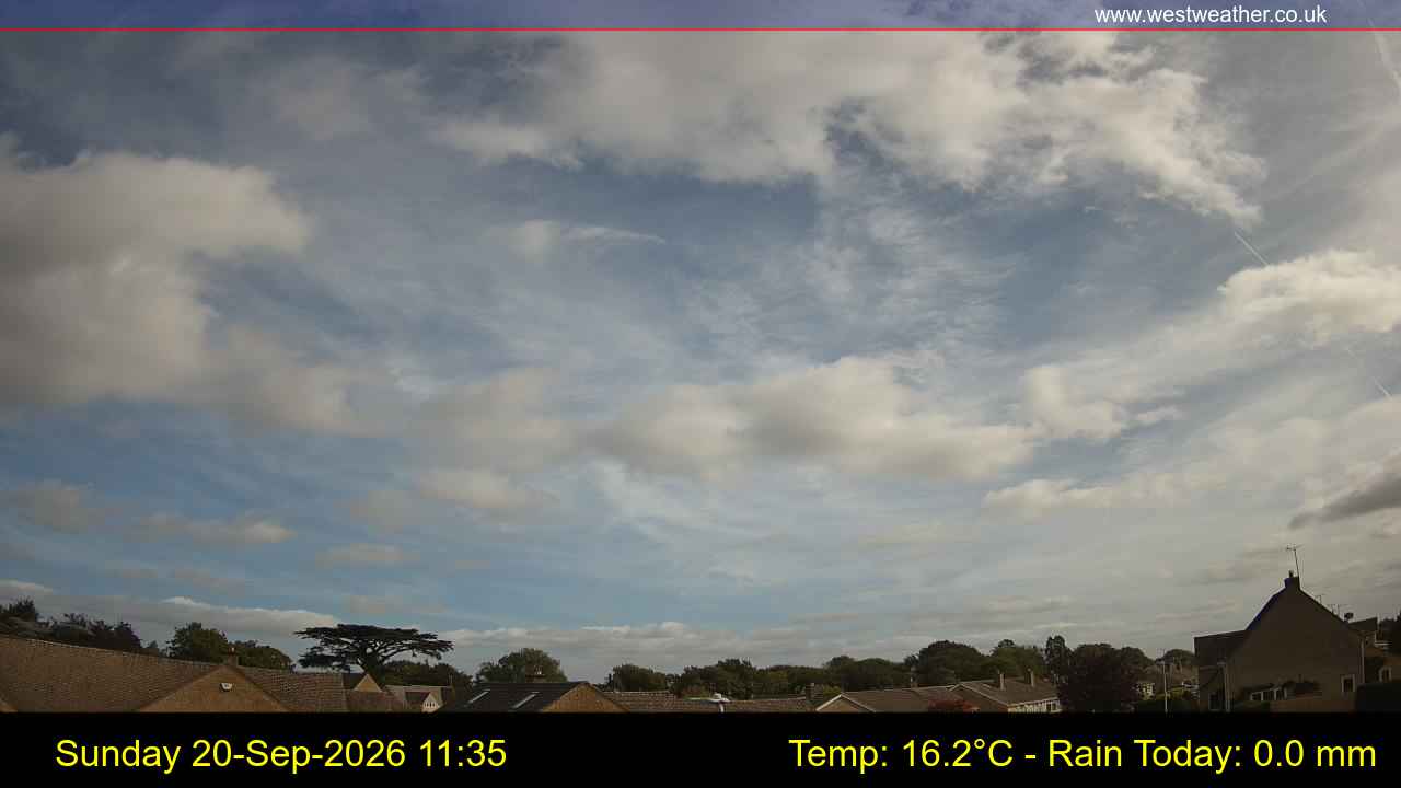 Live Webcam