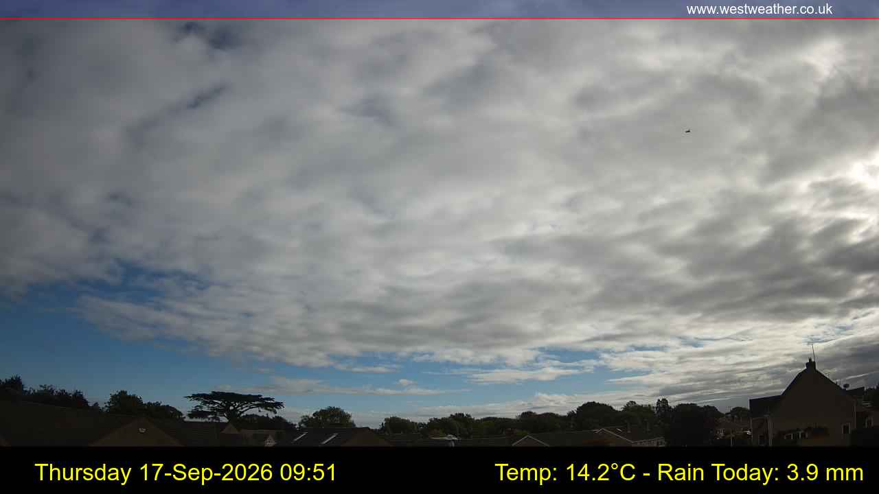 Live Webcam