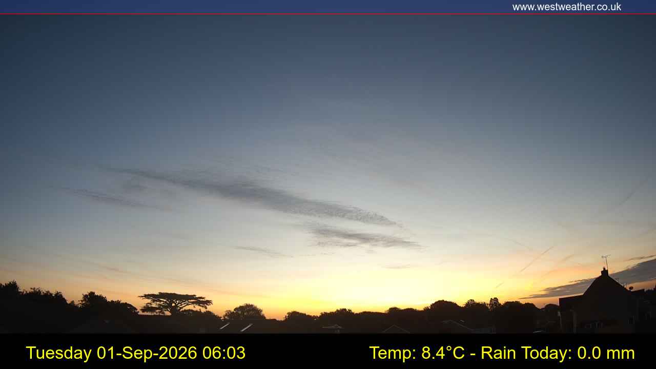 Live Webcam
