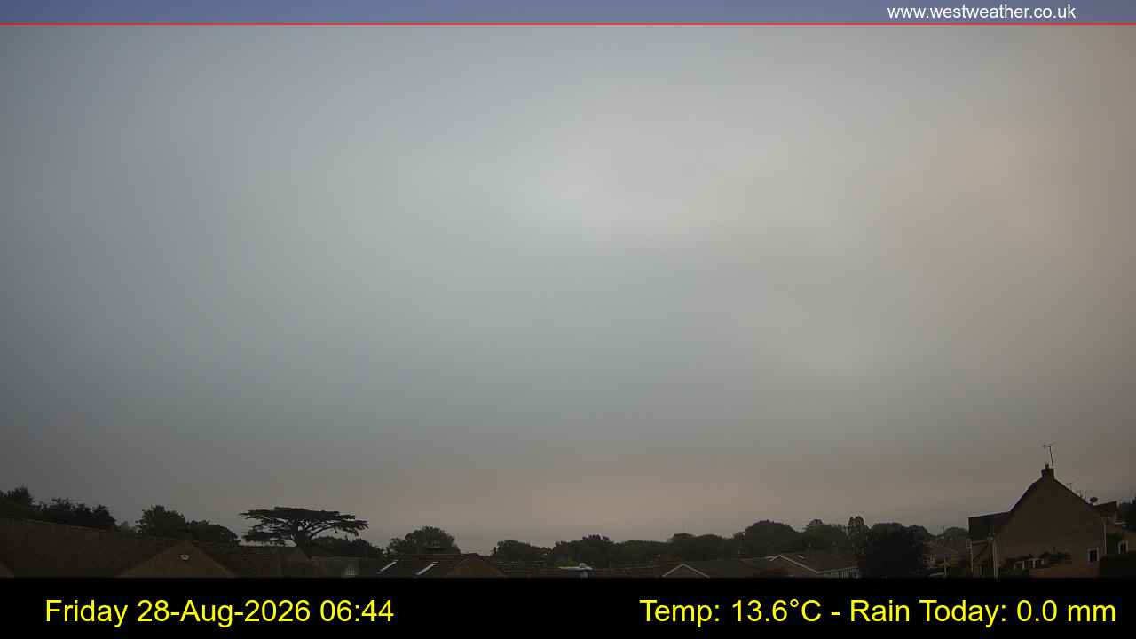 Live Webcam