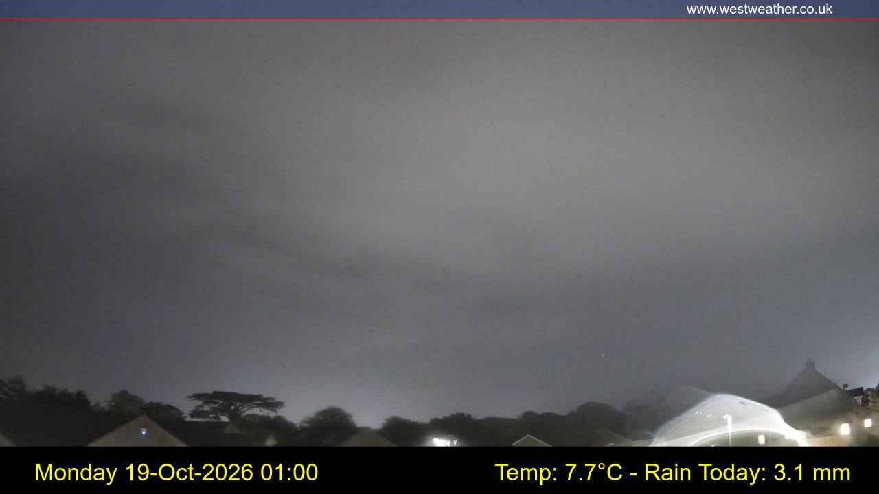 Live Webcam