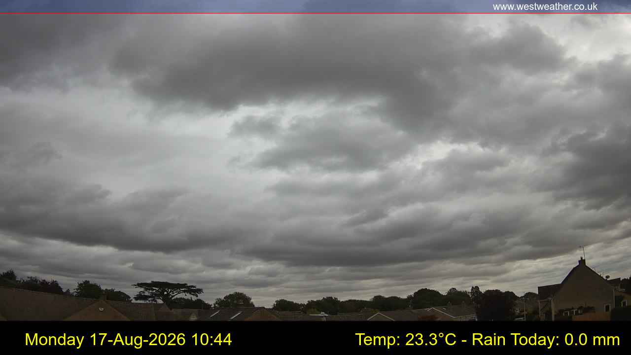 Live Webcam