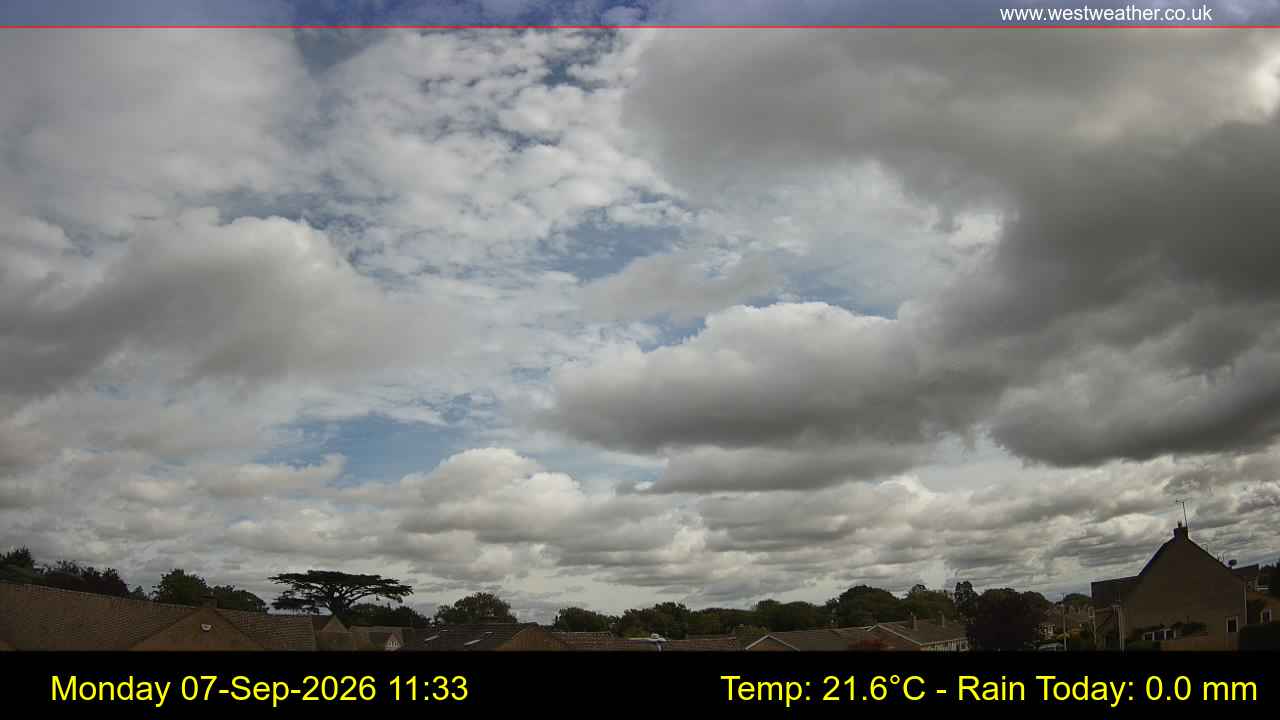 Live Webcam