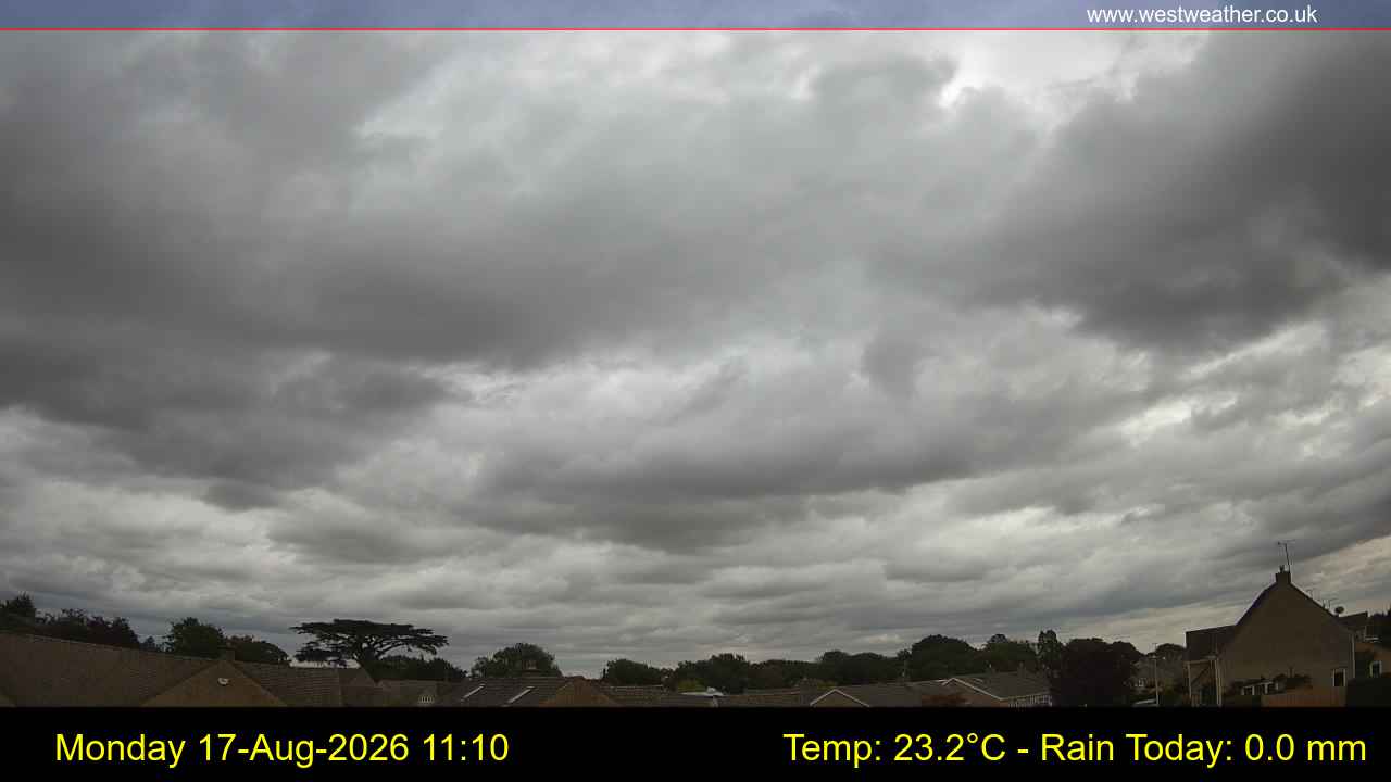 Live Webcam