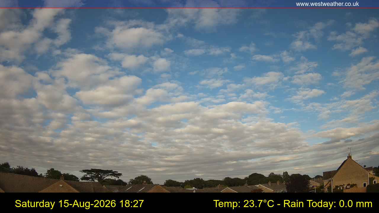 Live Webcam