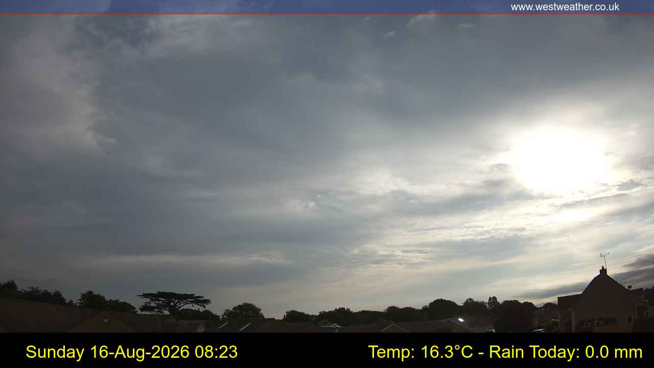 Live Webcam