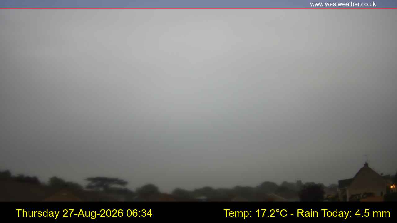 Live Webcam