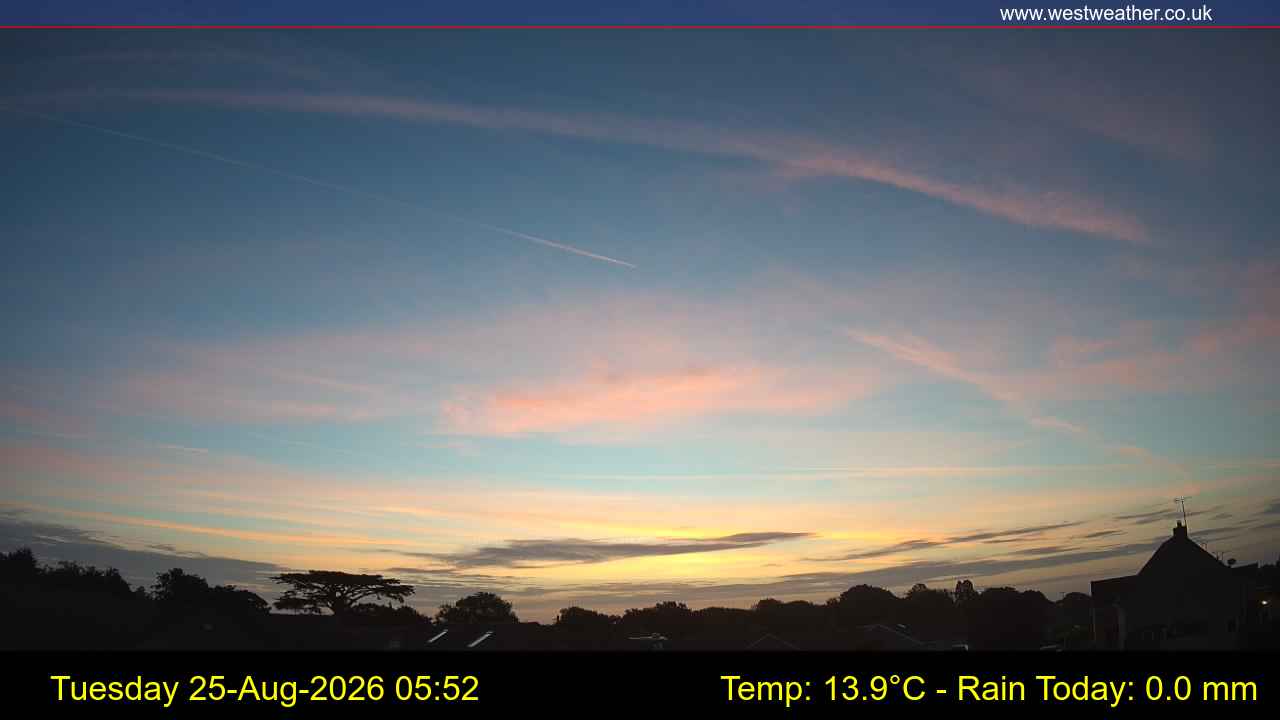 Live Webcam