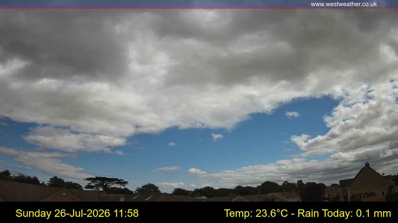 Live Webcam