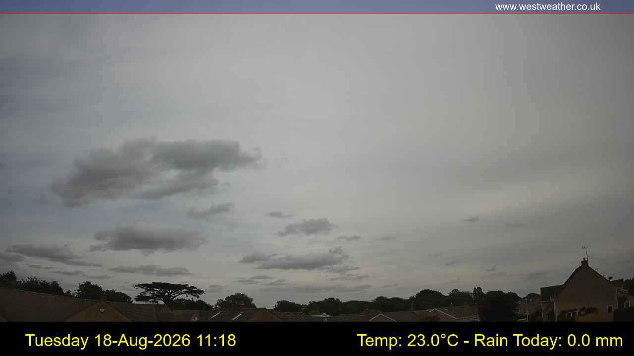 Live Webcam