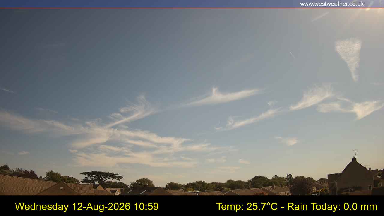 Live Webcam