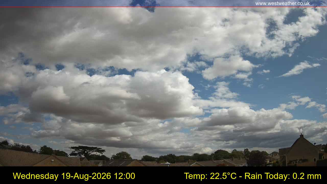 Live Webcam