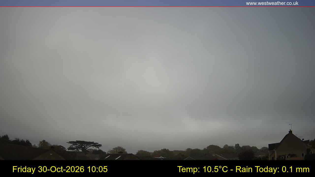 Live Webcam