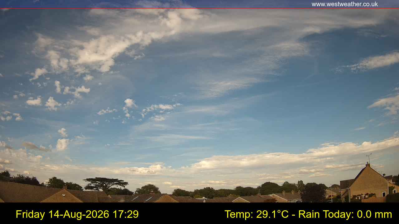 Live Webcam
