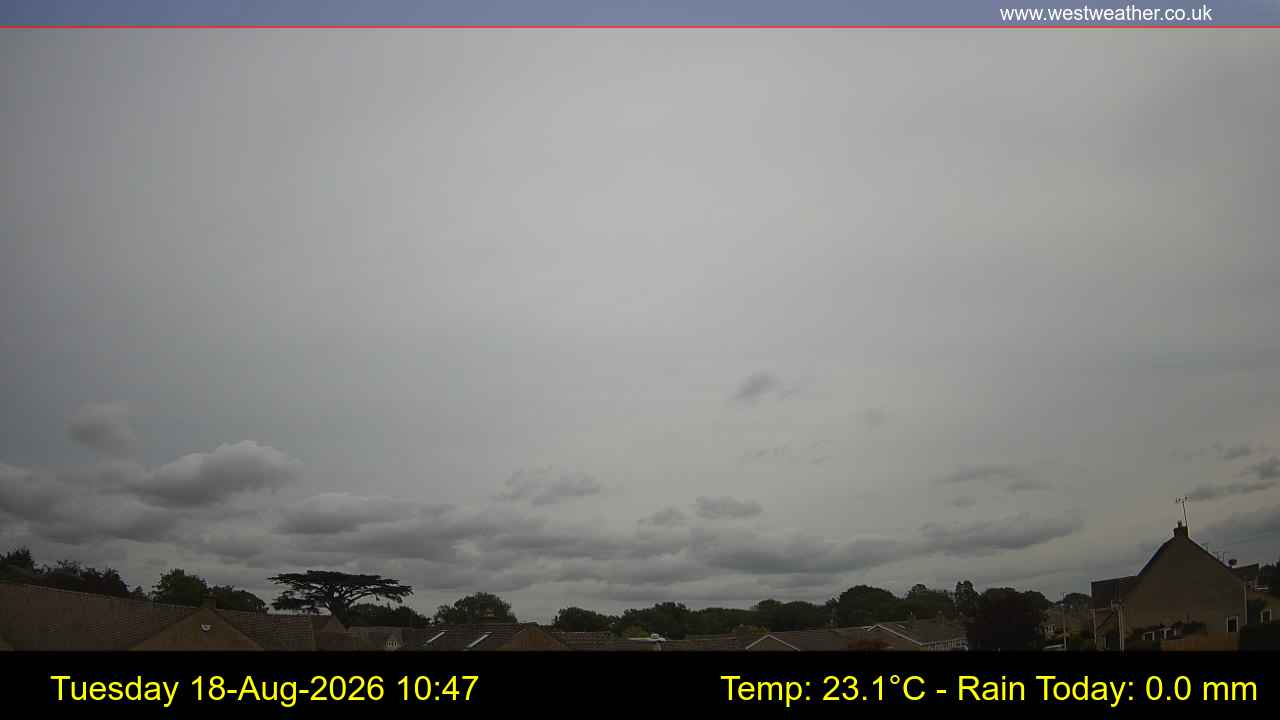 Live Webcam
