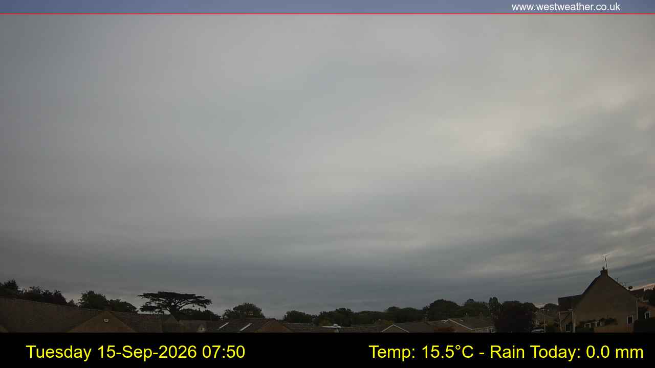 Live Webcam