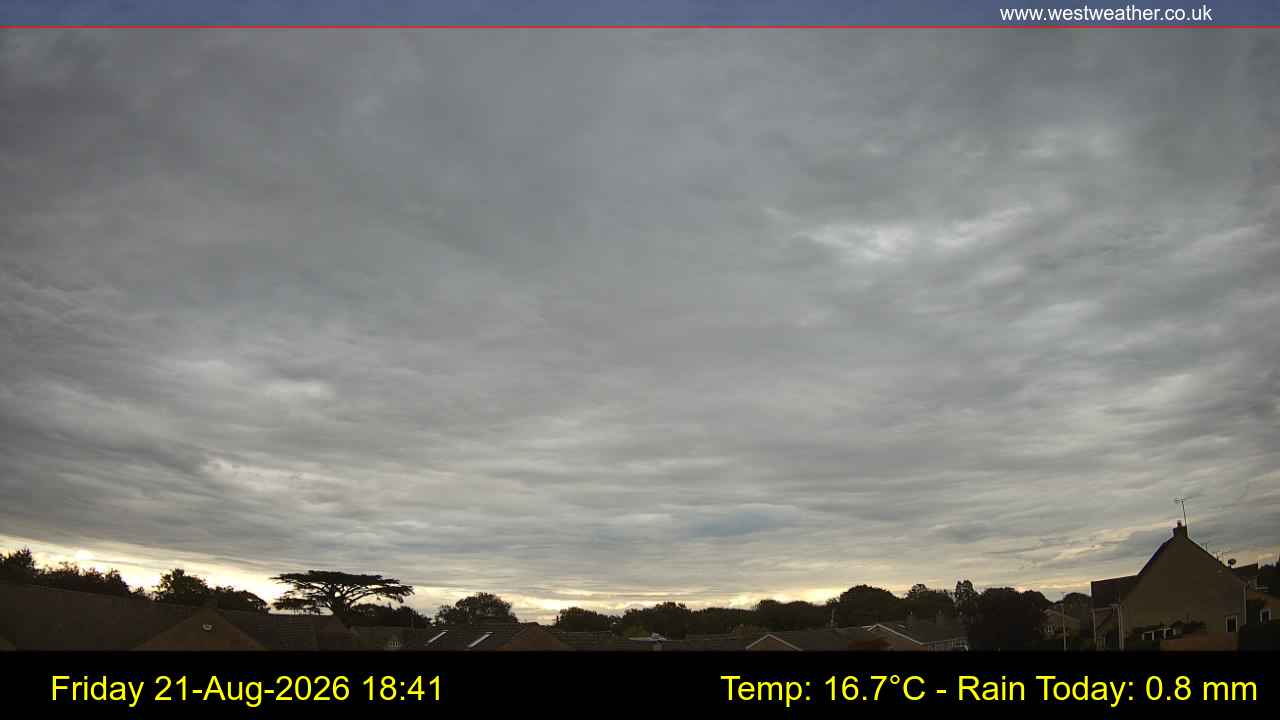 Live Webcam