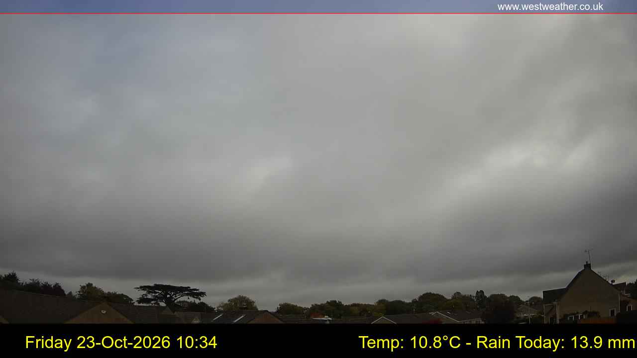 Live Webcam